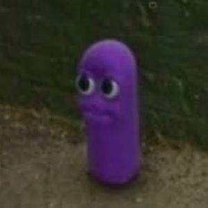 Meet your Posher, Bella